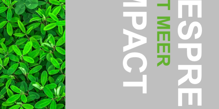 Gepsrekken met meer impact (kaft)