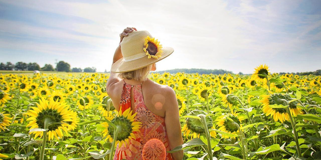 1207_website bericht zomerstart 1