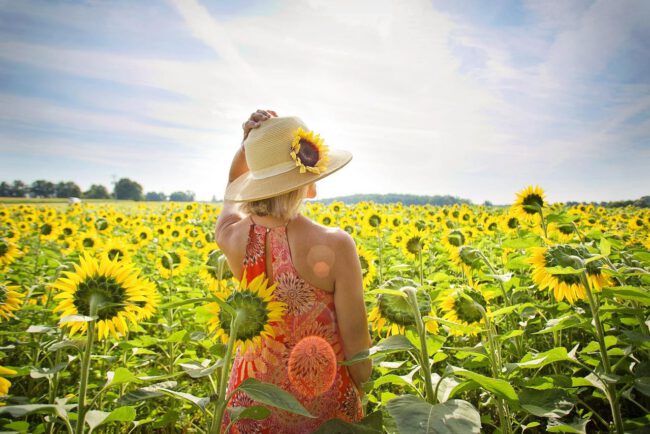 1207_website bericht zomerstart 1