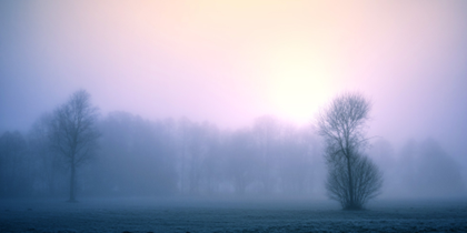Afbeelding2